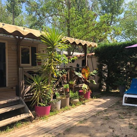 Mobil Home Climatise Camping 4* Le Grau Du Roi Les Jardins De Tivoli Ngoại thất bức ảnh